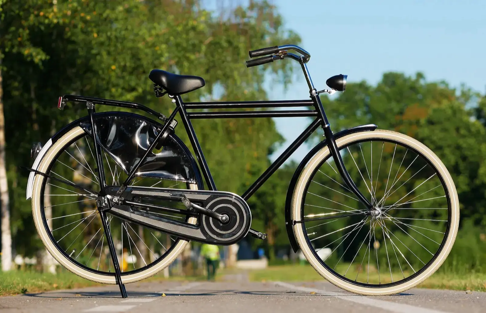 Bicicletta olandese nera con freni a bacchetta su un prato